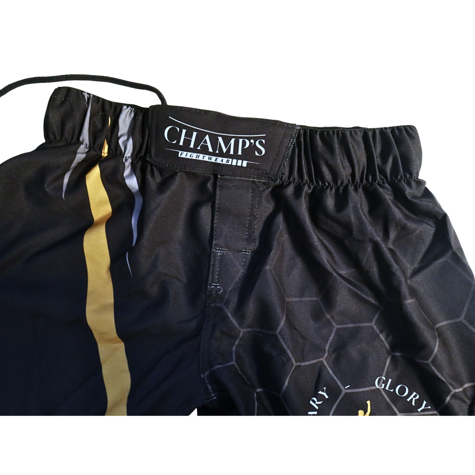 Champs MMA Shorts Black GOLD Edition - Image 3